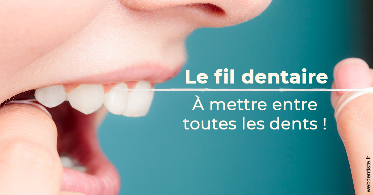 https://selarl-cabinet-dentaire-victor-hugo.chirurgiens-dentistes.fr/Le fil dentaire 2