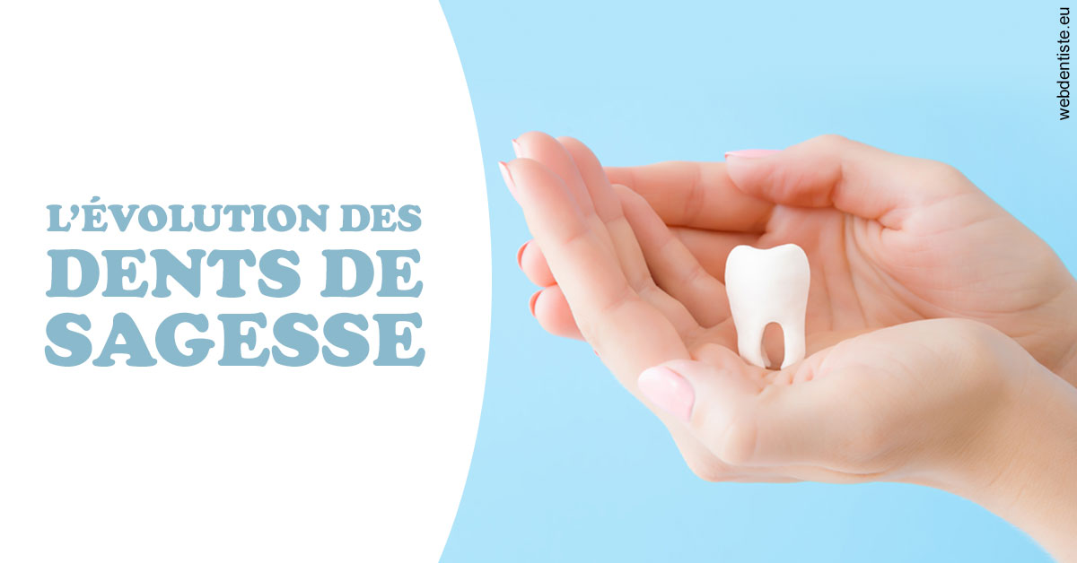 https://selarl-cabinet-dentaire-victor-hugo.chirurgiens-dentistes.fr/Evolution dents de sagesse 1
