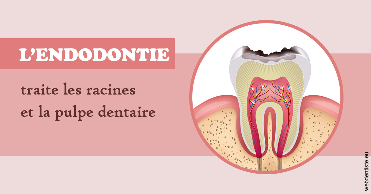 https://selarl-cabinet-dentaire-victor-hugo.chirurgiens-dentistes.fr/L'endodontie 2