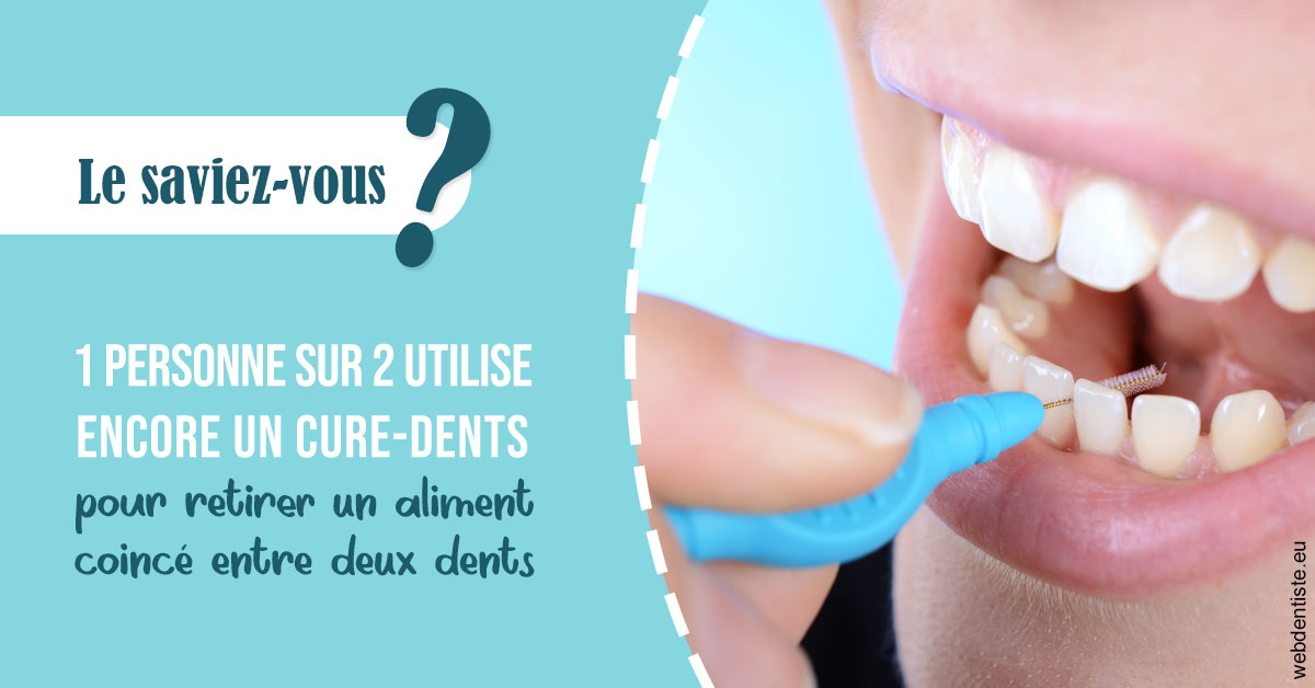 https://selarl-cabinet-dentaire-victor-hugo.chirurgiens-dentistes.fr/Cure-dents 1
