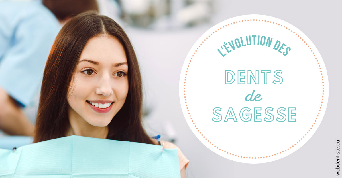 https://selarl-cabinet-dentaire-victor-hugo.chirurgiens-dentistes.fr/Evolution dents de sagesse 2